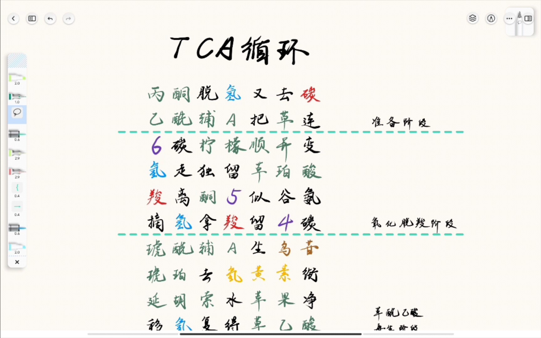 TCA循环口决,建议初学者背诵哔哩哔哩bilibili