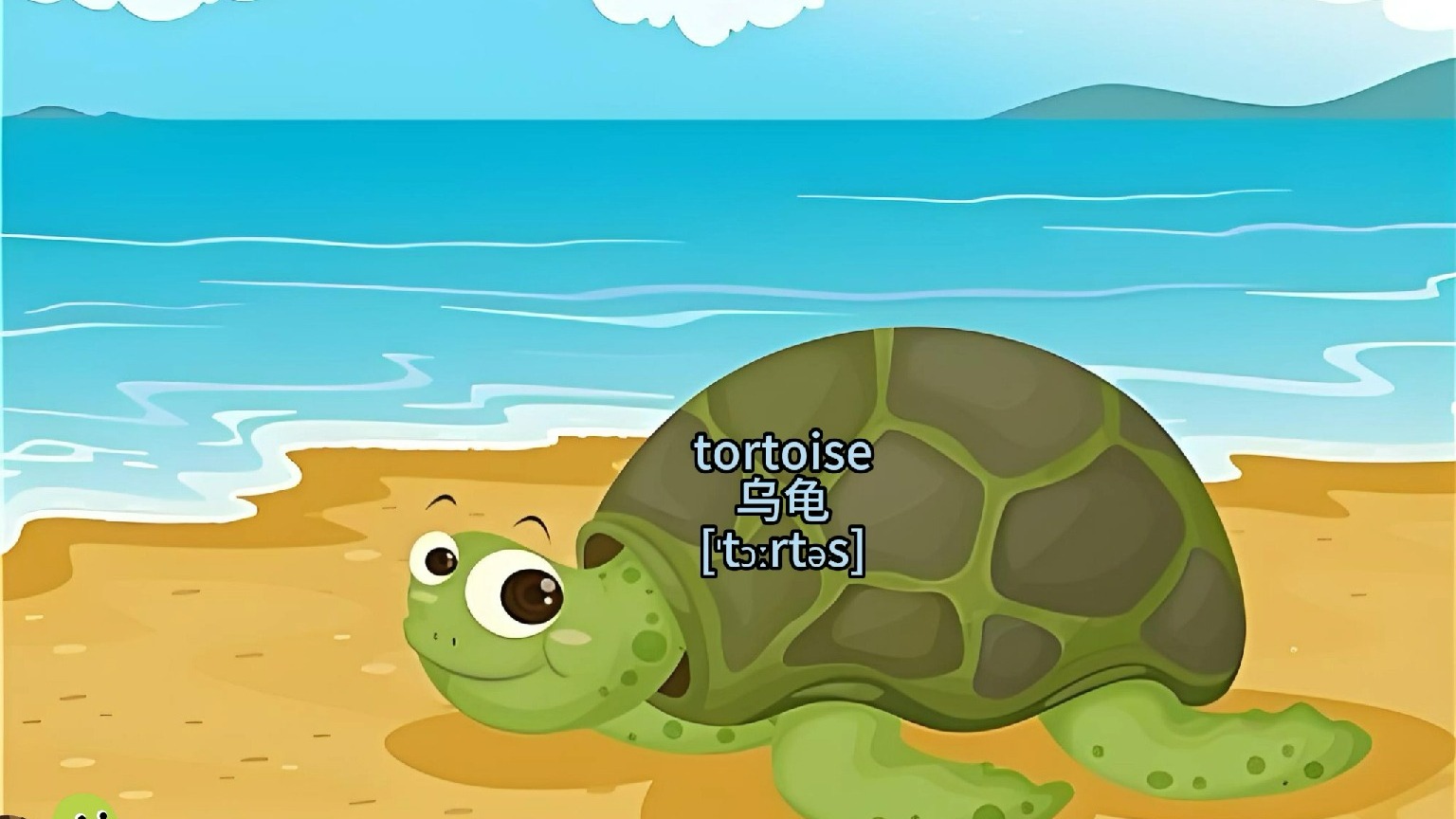 每天记住一个英语单词 tortoise 乌龟
