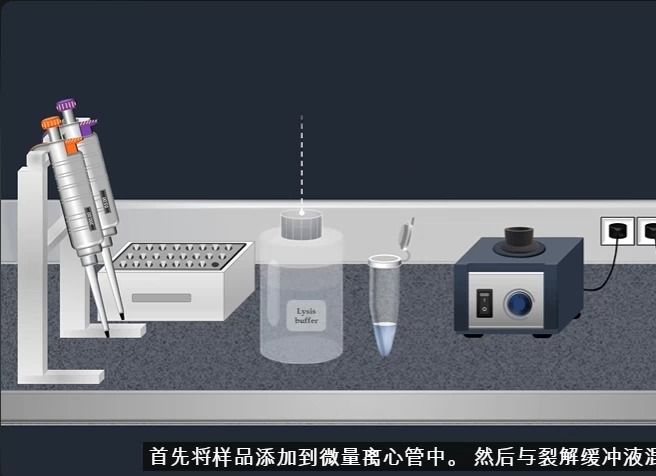 RTPCR(Real time )的原理和操作步骤|②哔哩哔哩bilibili