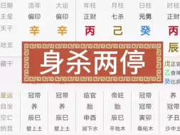 Download Video: 身杀两停的八字