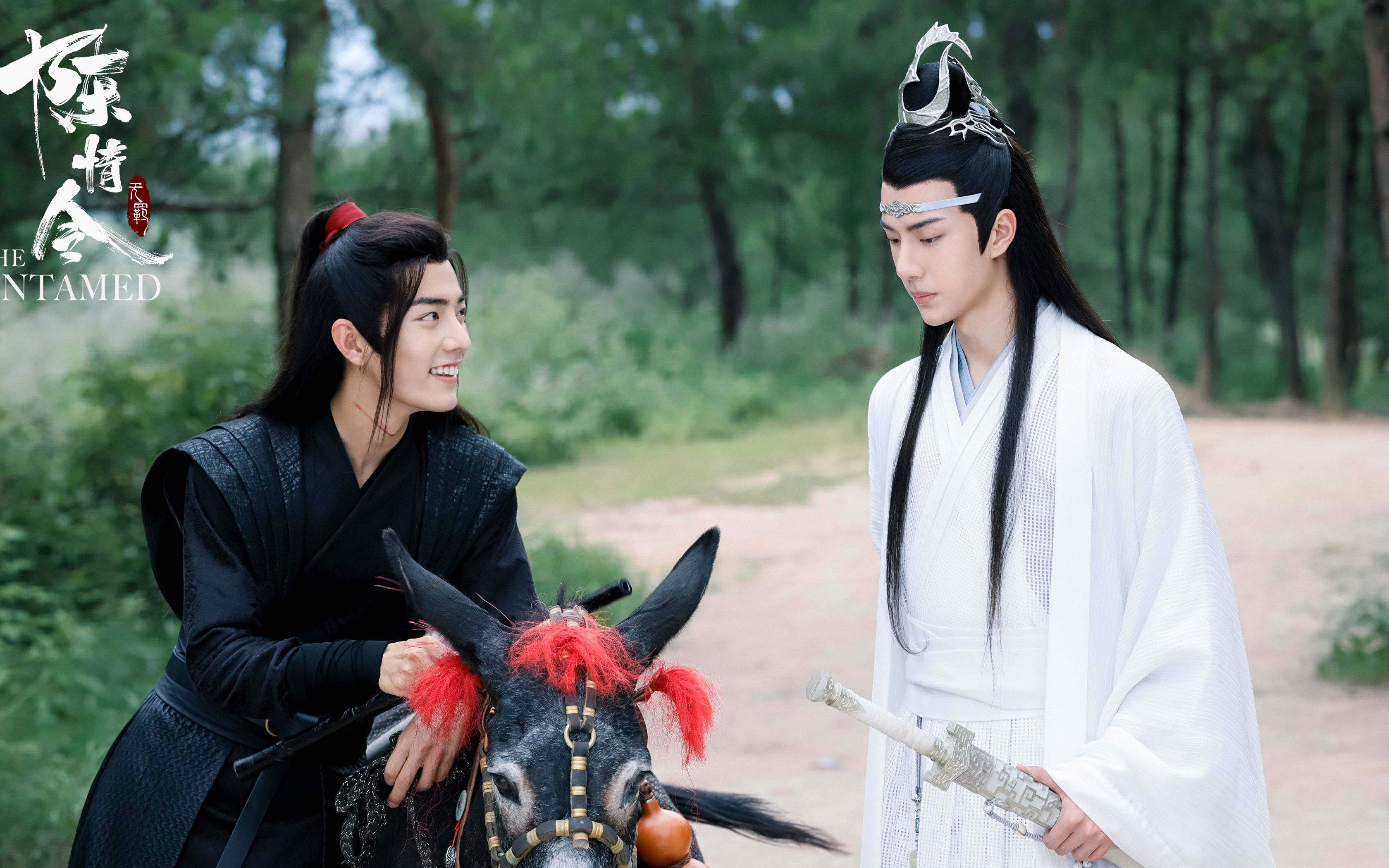 【陈情令|肖战x王一博】魏无羡蓝忘机醉梦前尘:问灵十三载,等一不归人