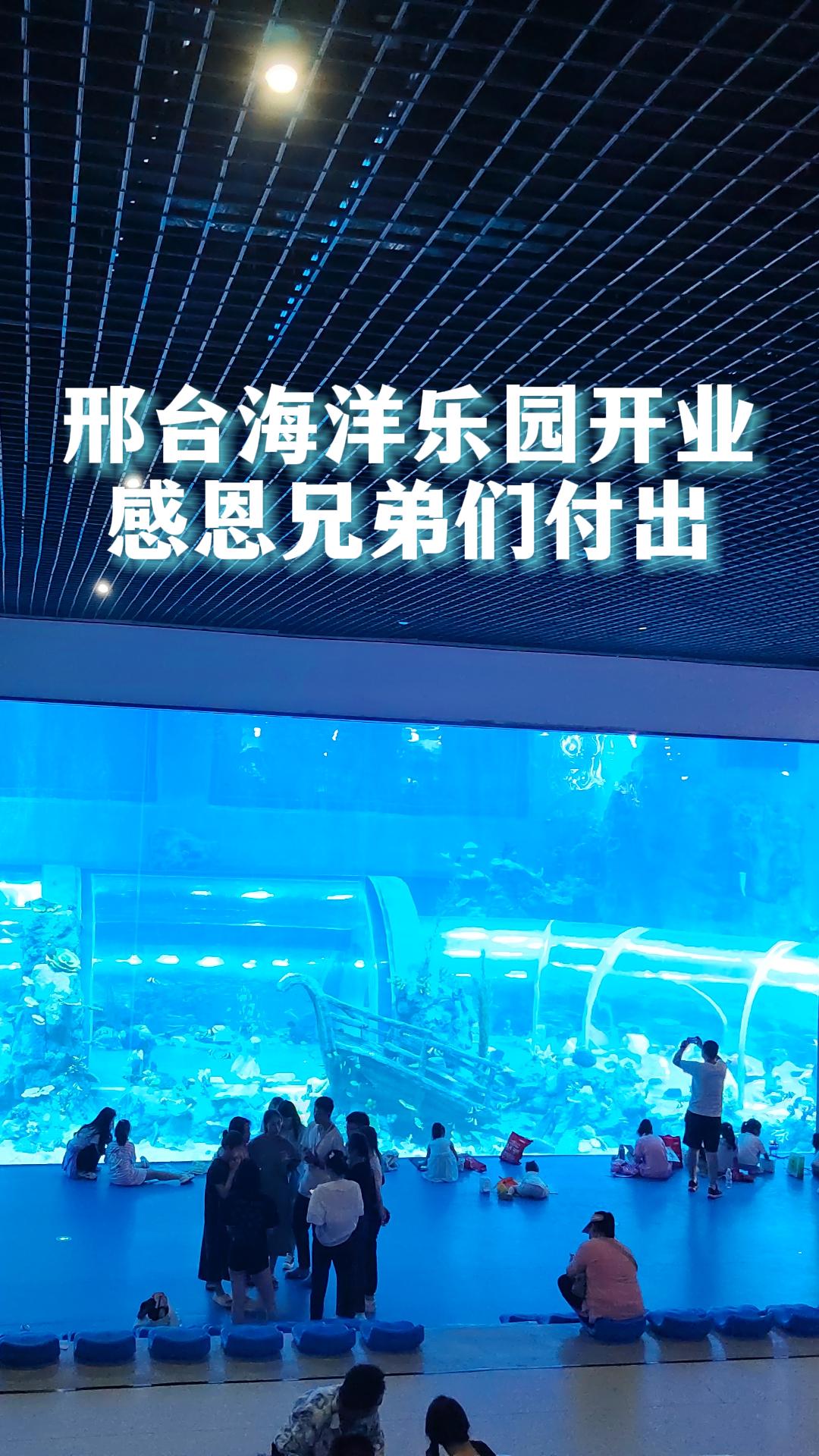 邢台海洋乐园开业了!感恩团队的辛勤付出