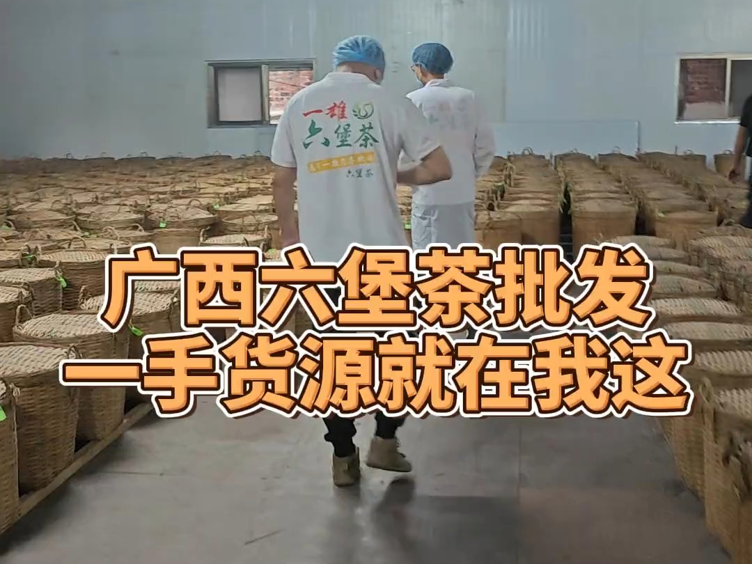 广西六堡茶批发一手货源就在我这