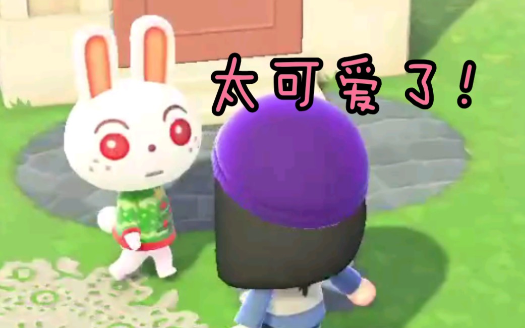 【动物之森】月兔太可爱了 呜呜呜 耳朵像个布丁一样 duang_哔哩哔哩