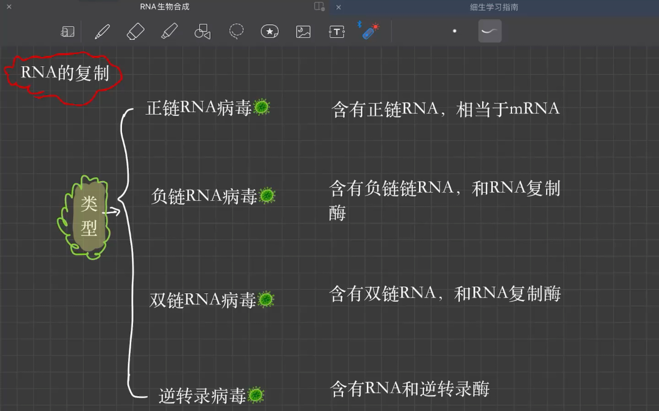 [图]RNA复制，正链，负链，双链病毒，逆转录病毒