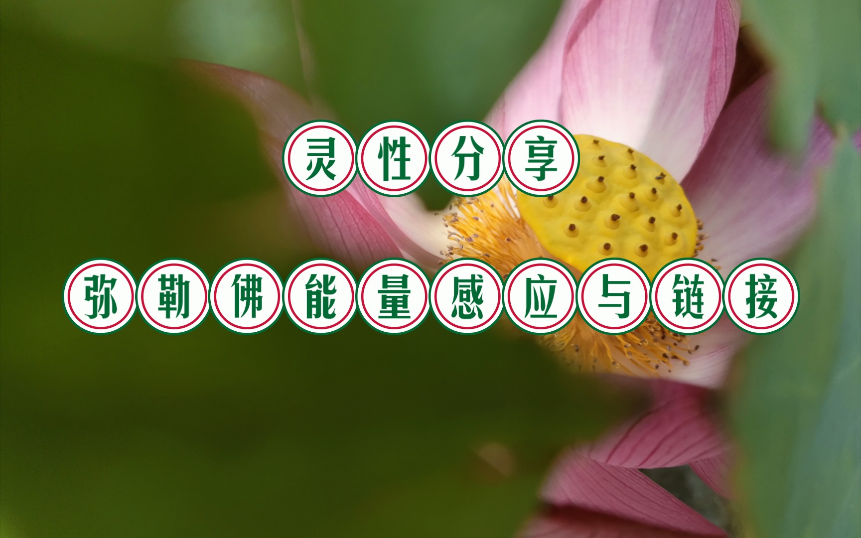灵性分享/弥勒佛能量感应与链接