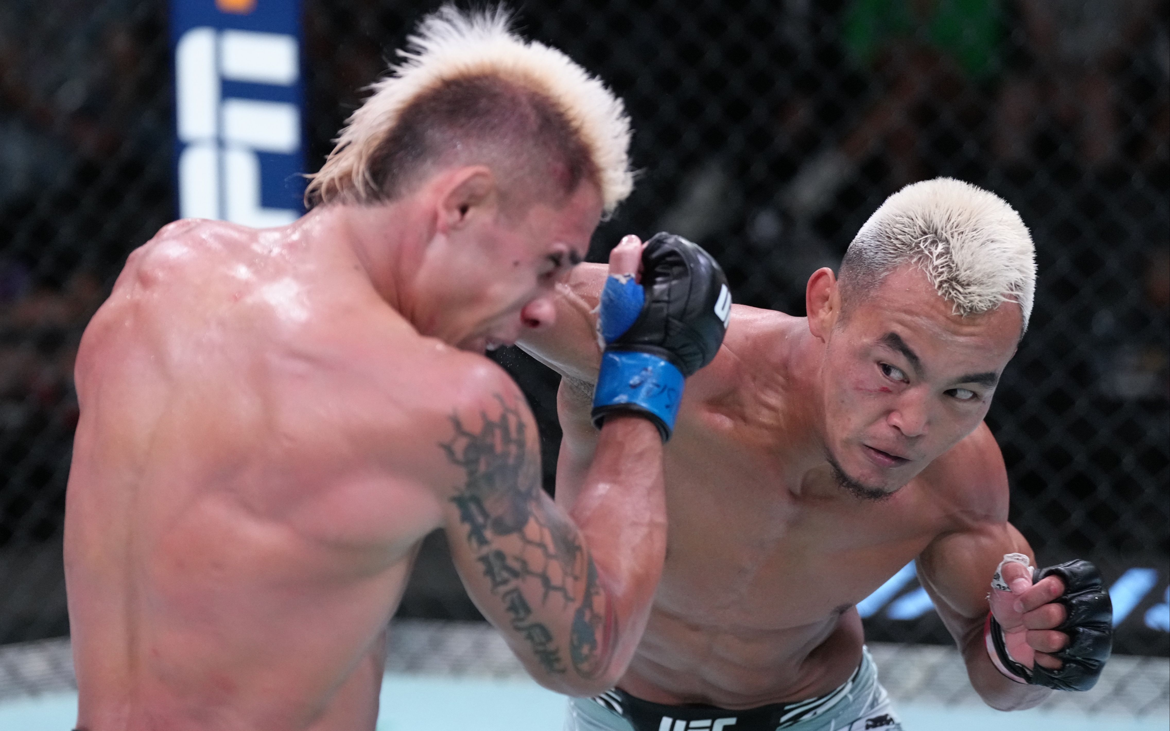 【UFC中国力量】国产摔打流选手的代表!沙依兰 VS TJ布朗哔哩哔哩bilibili