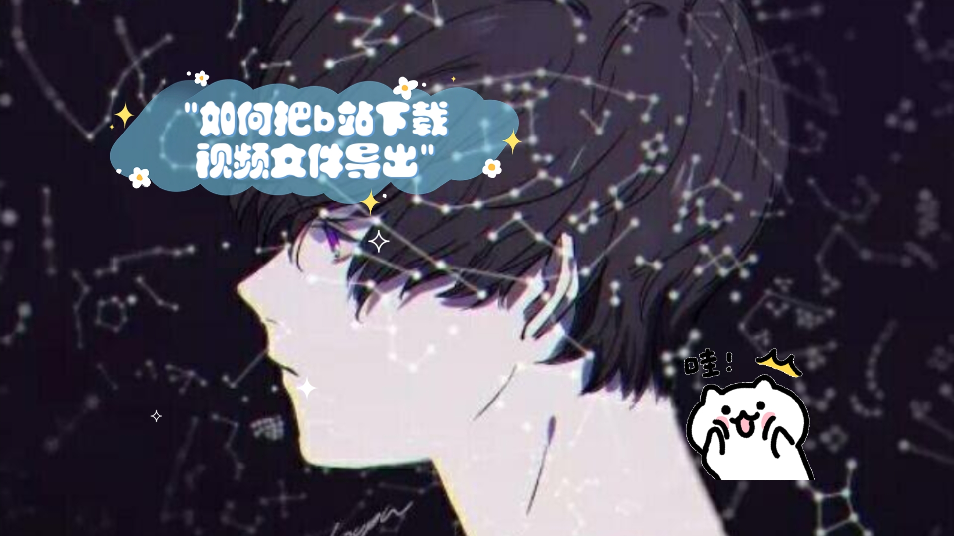 如何把b站下载视频文件导出哔哩哔哩bilibili