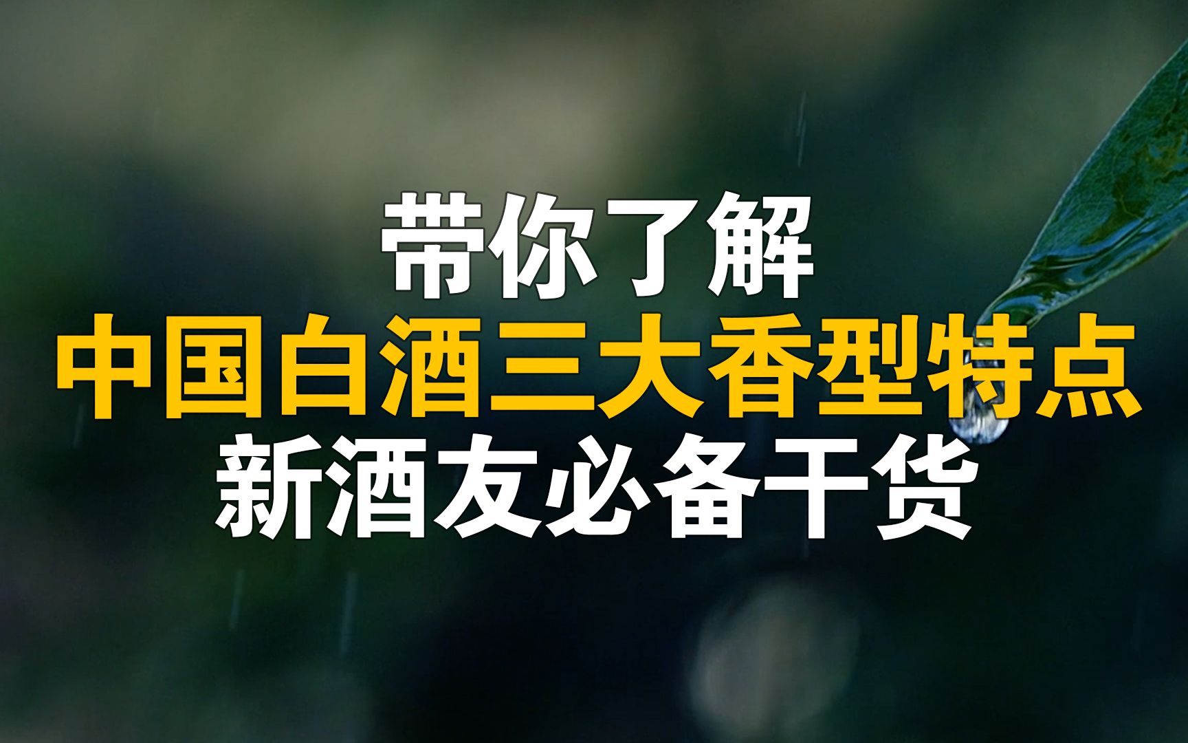 带你了解中国白酒三大香型特点,新酒友必备干货哔哩哔哩bilibili