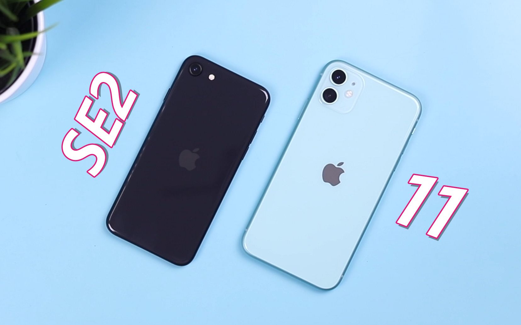 iPhone SE2 vs iPhone 11速度对比:看完就知道该选谁啦!