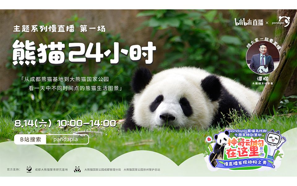 [图]【直播精彩合集】20210814 pandapia7周年特别直播第一场 熊猫24小时