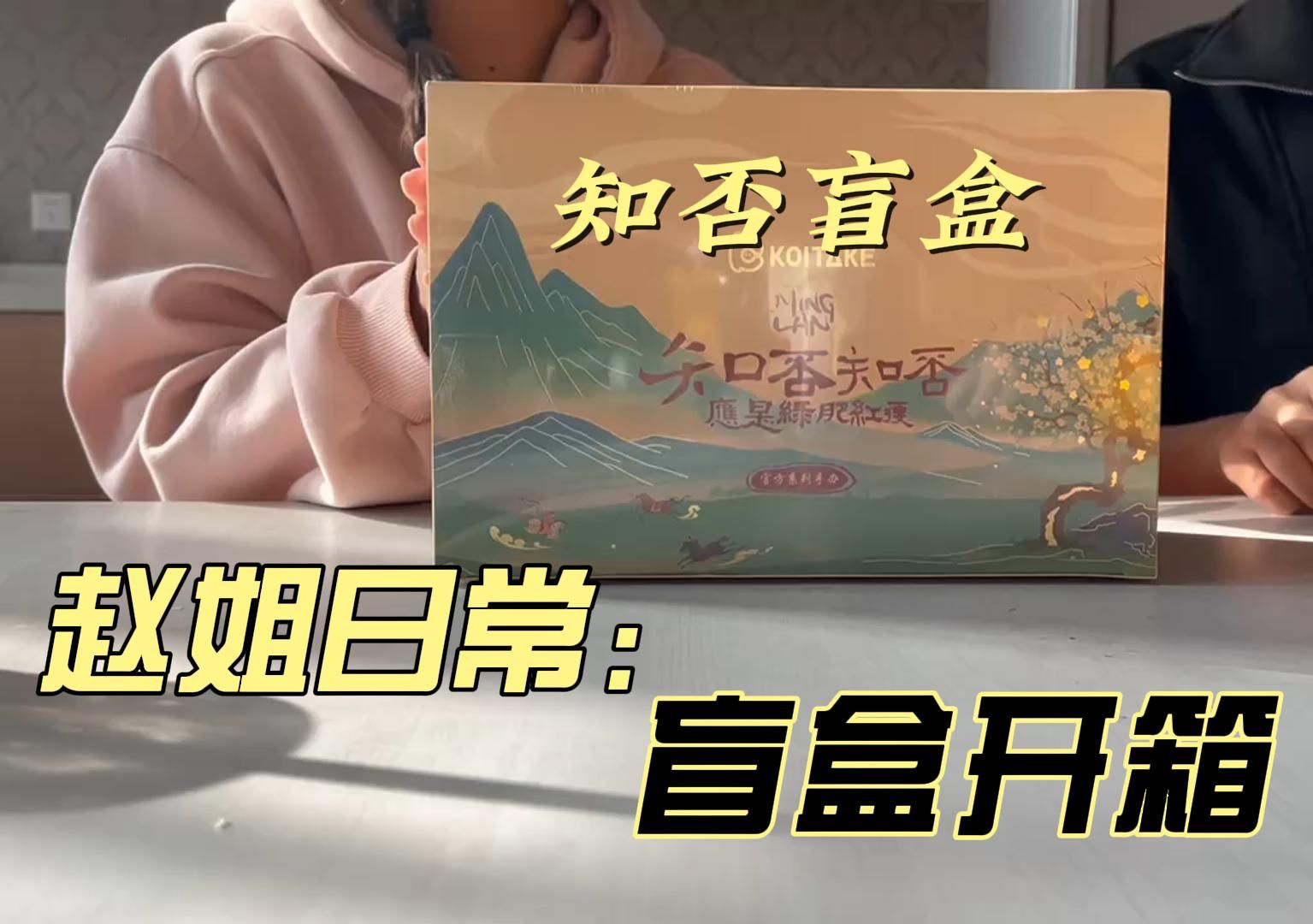 【锦鲤拿趣*知否】盲盒开箱哔哩哔哩bilibili