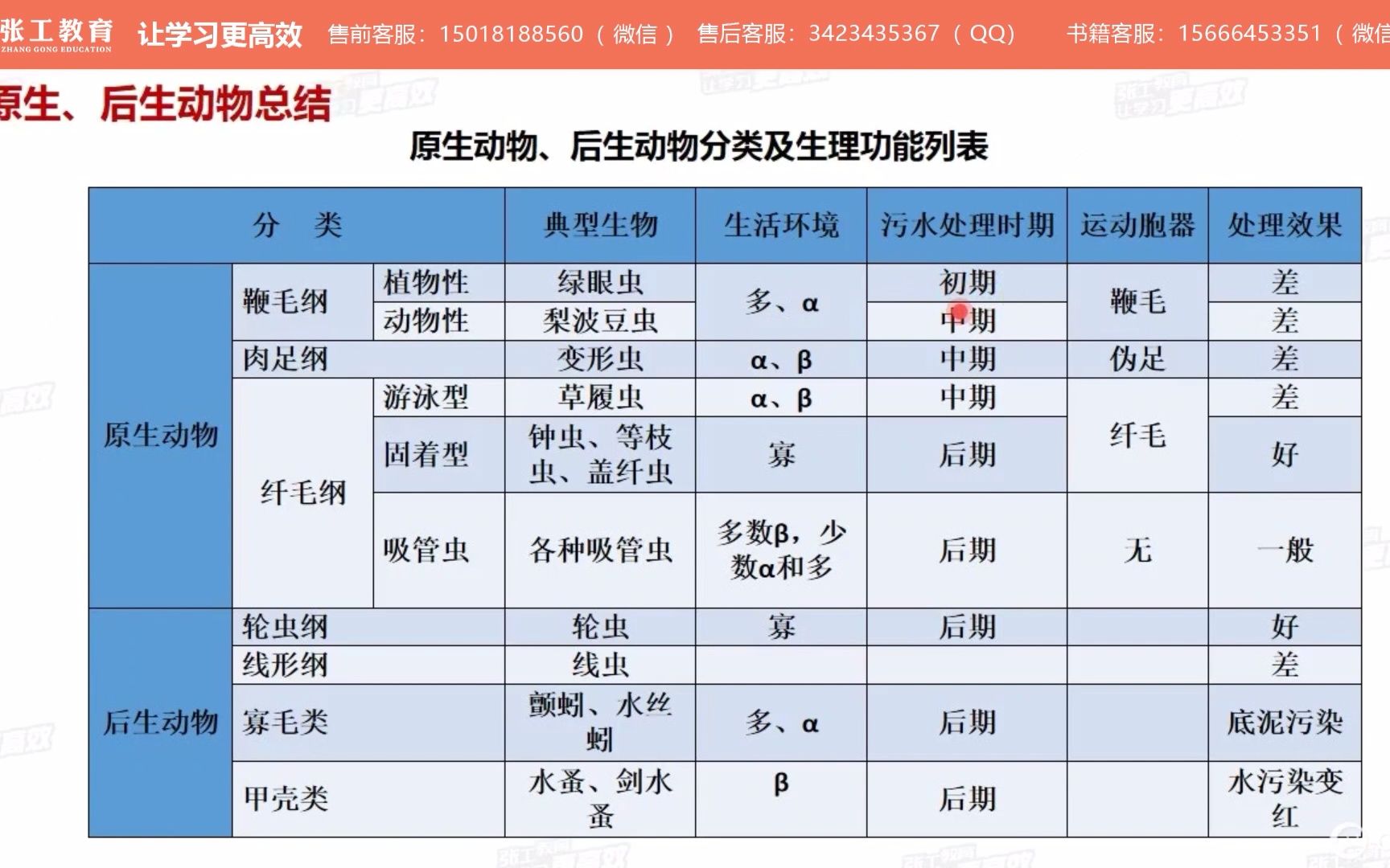 给排水基础水处理微生物学原生动物、后生动物总结哔哩哔哩bilibili