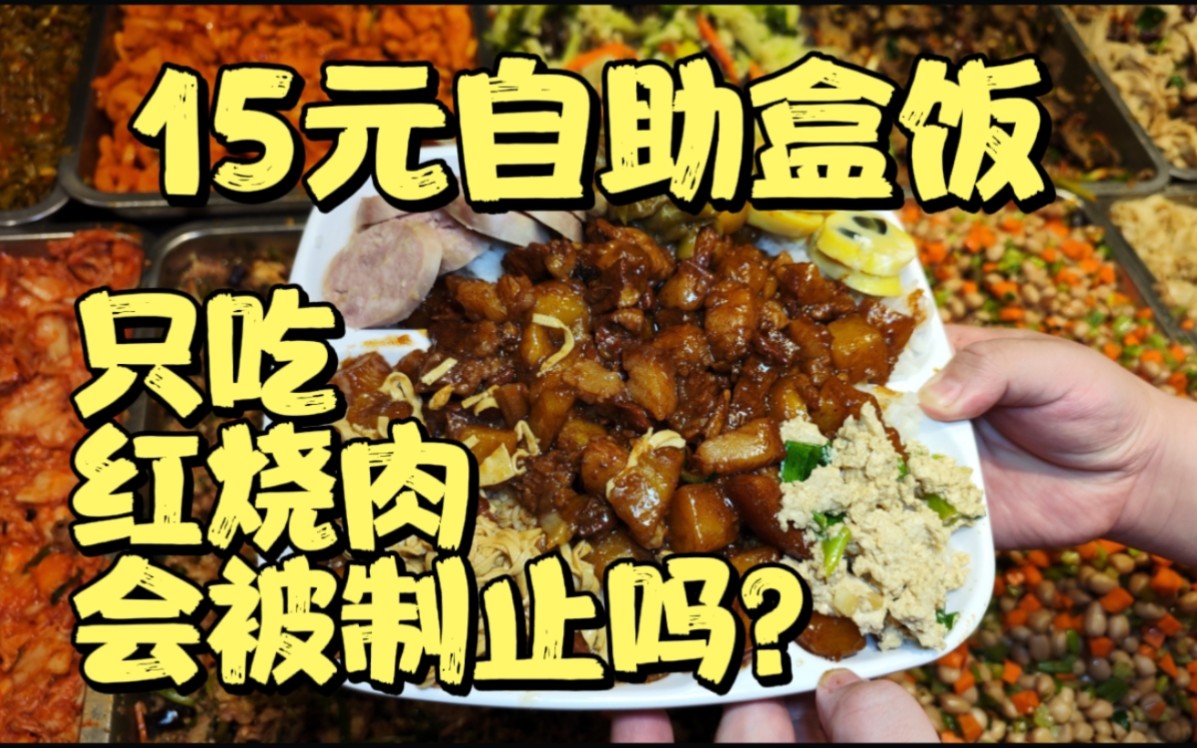 东北15元自助盒饭,只吃红烧肉会被老板制止吗?哔哩哔哩bilibili