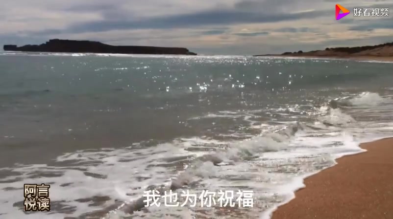 [图]中国现代诗歌大系： 海子诗歌合集 《面朝大海 春暖花开》