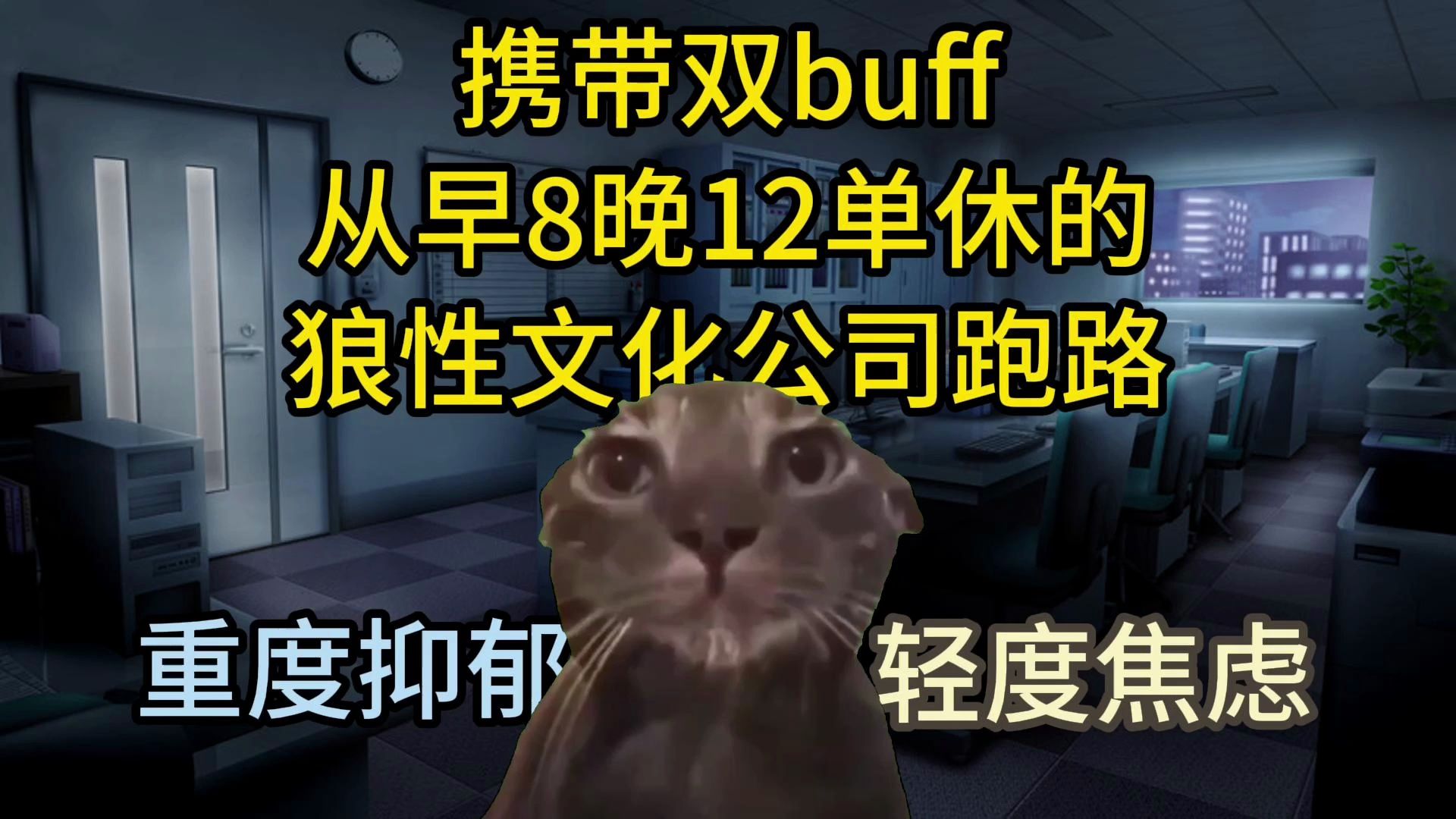 【猫meme】从早8晚12单休的狼性文化企业跑路(入职篇)哔哩哔哩bilibili