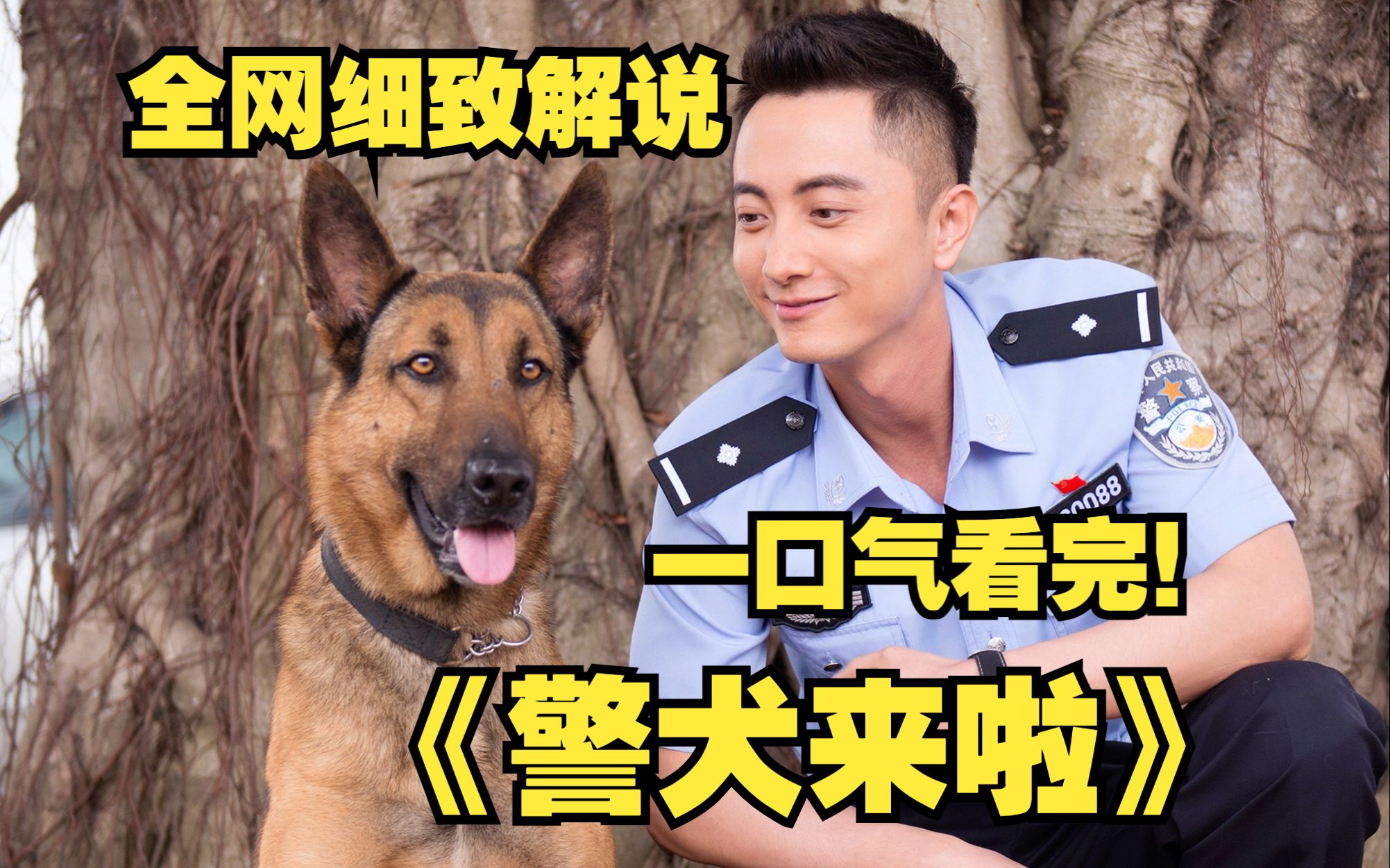 [图]一口气看完超清警犬题材电视剧《警犬来啦》完整版，警犬出击，大毒枭落网，警犬是人民的英雄，值得我们向它致敬。