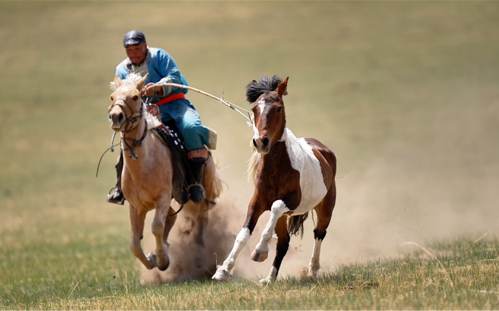 套馬的漢子你威武雄壯… #馬背上的民族 #套馬