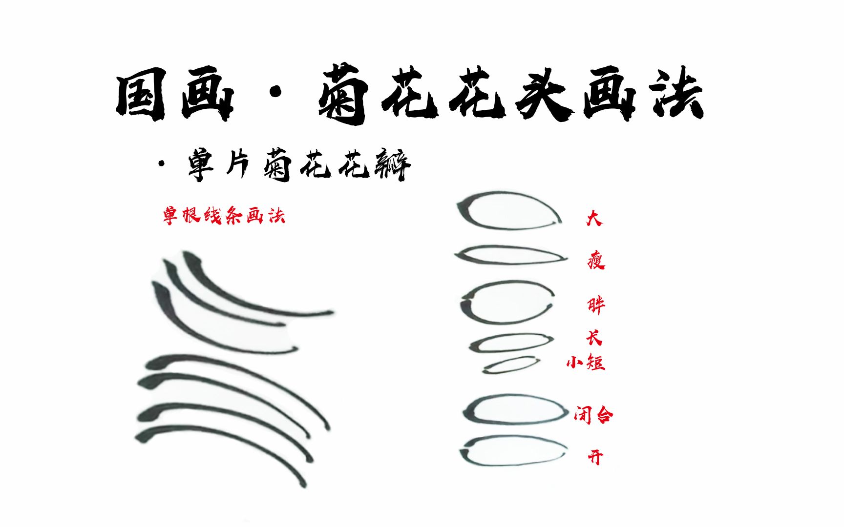 【写意花鸟】第8讲!画单片菊花花瓣需要注意什么?窍门在这!哔哩哔哩bilibili