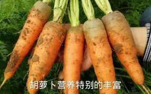 下载视频: 该种胡萝卜了，大家知道它的最佳种植时间吗？咋种才能长大个