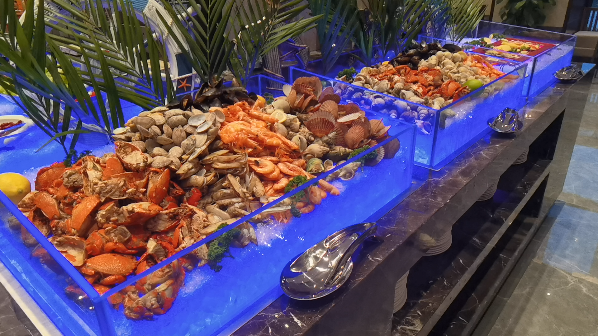 启东吕四港百源豪生大酒店自助餐海鲜西餐品种多味道好可以的可以的