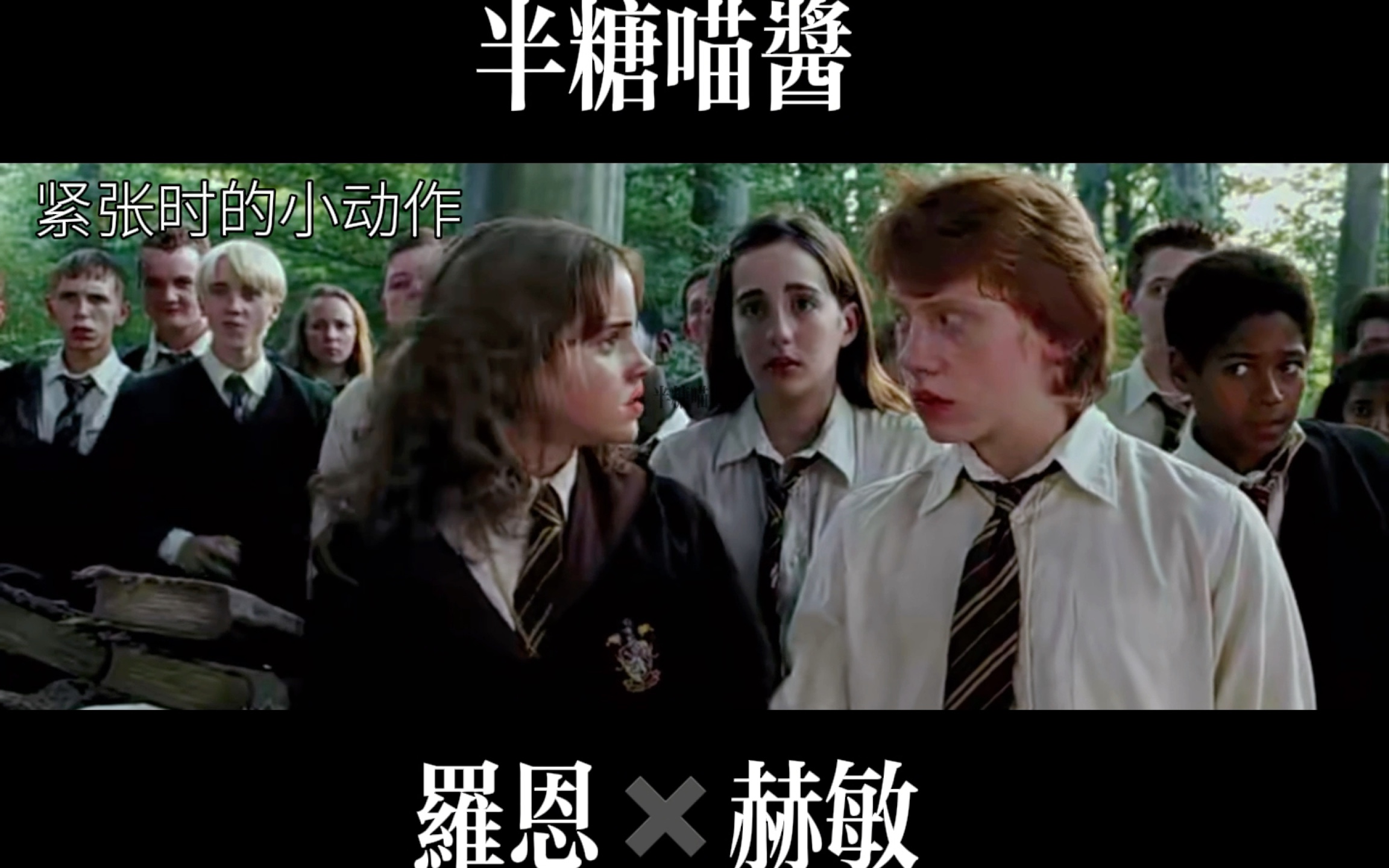 【哈利波特|罗赫】悬溺一响,纯爱登场