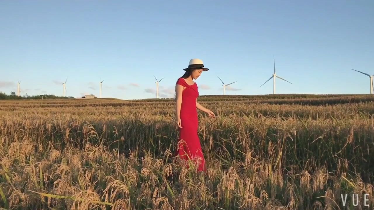 21节手机摄影课-零基础用手机轻松拍大片