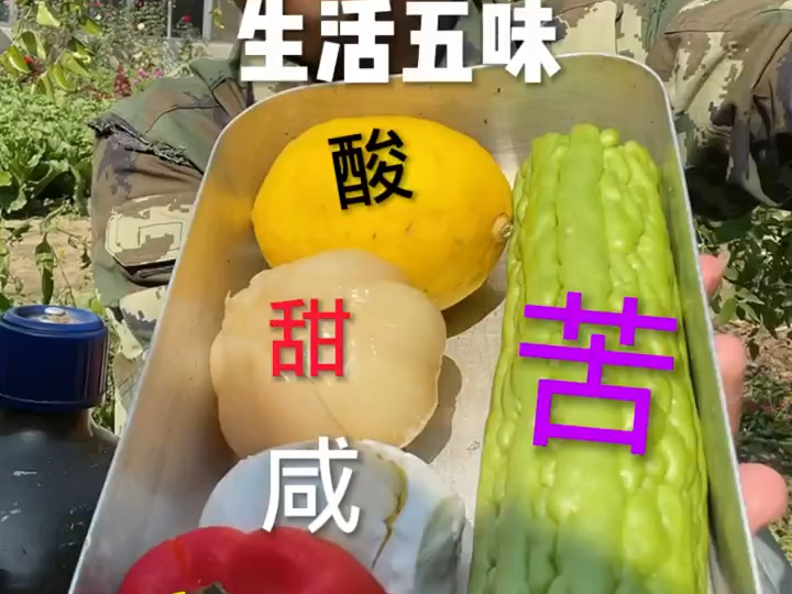 东北老饭盒来啦!今天体味生活五味,酸甜苦辣咸