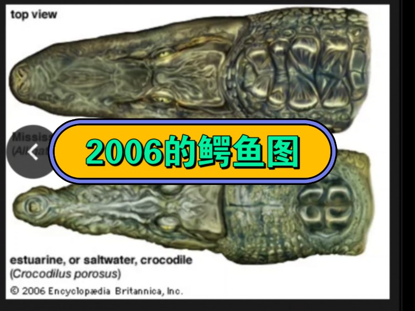 爬行天下吹嘘大英百科全书06年的鳄鱼图是他18年做的,怕是脸都不要了哔哩哔哩bilibili