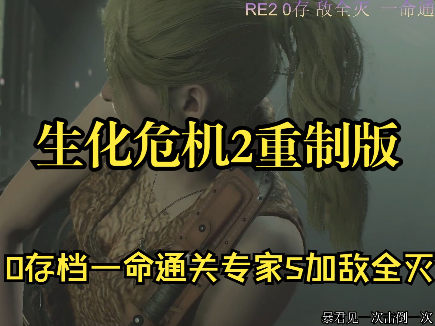 直播回放:生化危機2重製版0存檔專家敵全滅s加 克萊爾裡關 禁無限武器