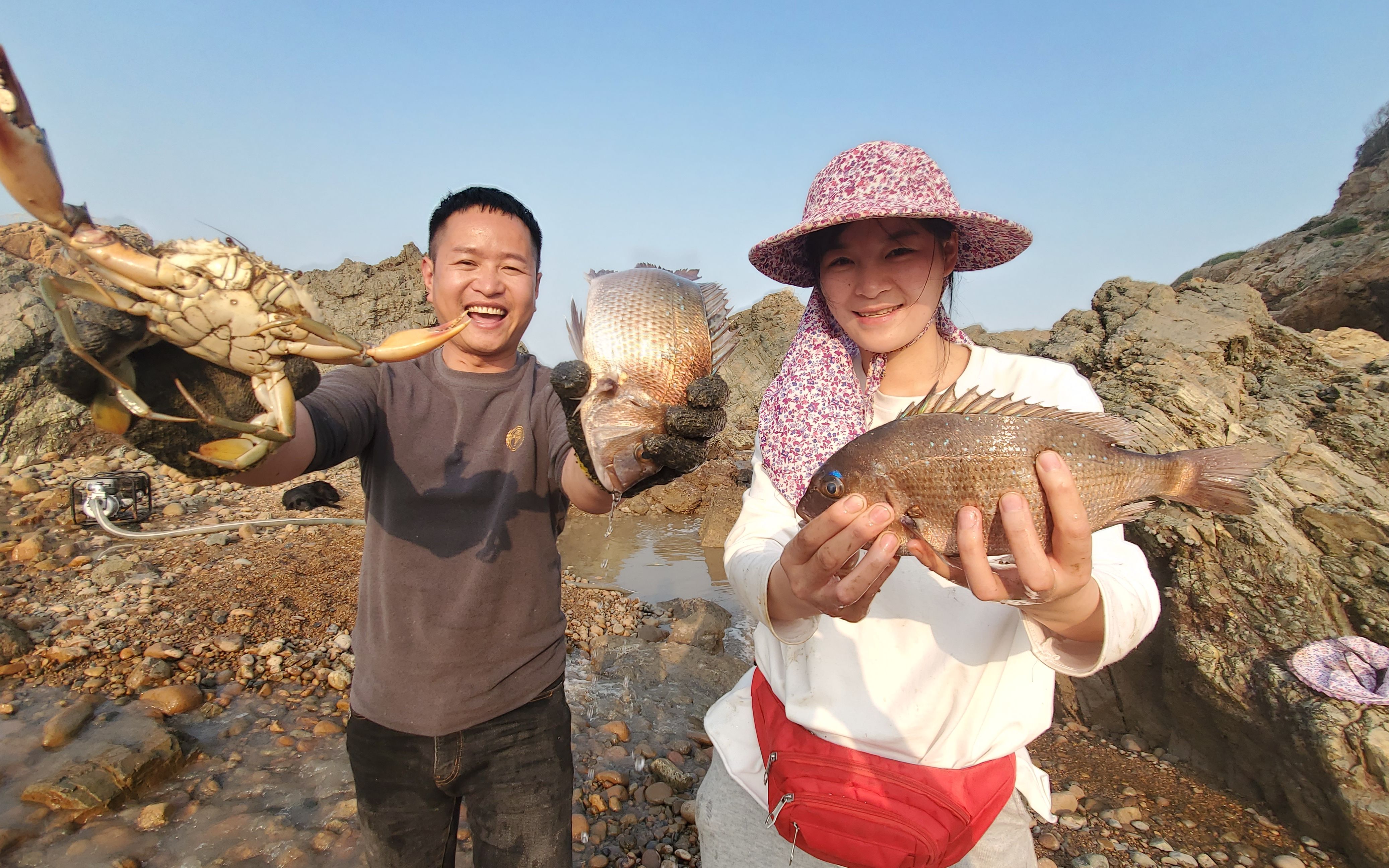 肋骨骨折休息一个多月的村花,一来赶海就大丰收,还抓到极品真鲷_哔哩