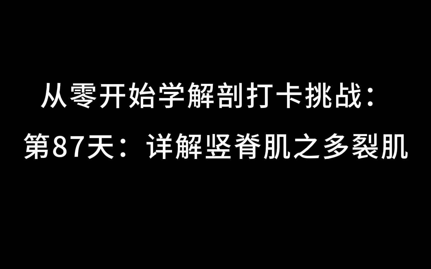 从零开始学解剖打卡挑战:第87天:详解竖脊肌之多裂肌哔哩哔哩bilibili