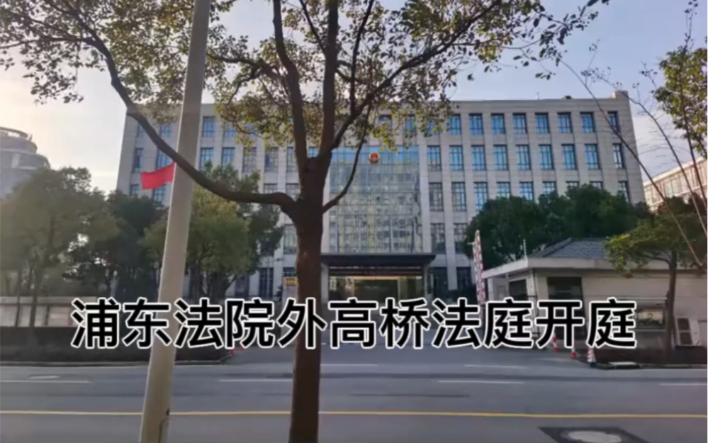 浦东新区人民法院外高桥法庭开庭,债权人撤销权纠纷.律师日常.生活工作记录.法律是一套游戏规则,由社会中的成员们所掌握,并由某种方式 的强制力...