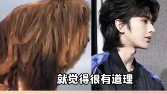 哈哈啊哈哈哈，想象一下坤子一年不剪头不打薄的样子，跟狮子雀食有点像蔡徐坤