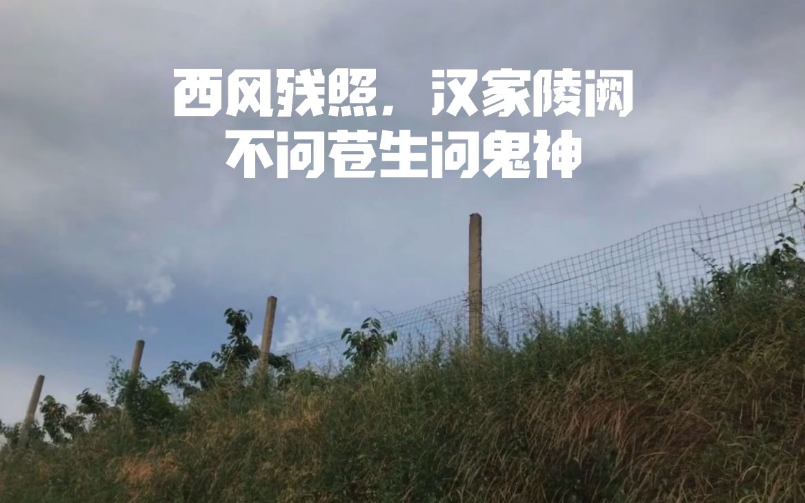 西安ⷨ忦𑉥𘝩™𕂷霸陵.先来几句“音尘绝,西风残照,汉家陵阙”,“屈贾谊于长沙,非无圣主”,“不问苍生问鬼神”这些大名鼎鼎的诗句都跟汉孝文帝刘...