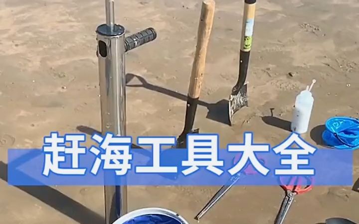 赶海工具神器,铲子儿童挖海赶海边抓螃蟹抽虾器手套神器耙子铲哔哩哔哩bilibili