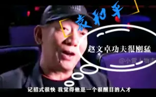 Video herunterladen: 袁和平：其实赵文卓很厉害的，他的功夫自成一格，很刚猛！