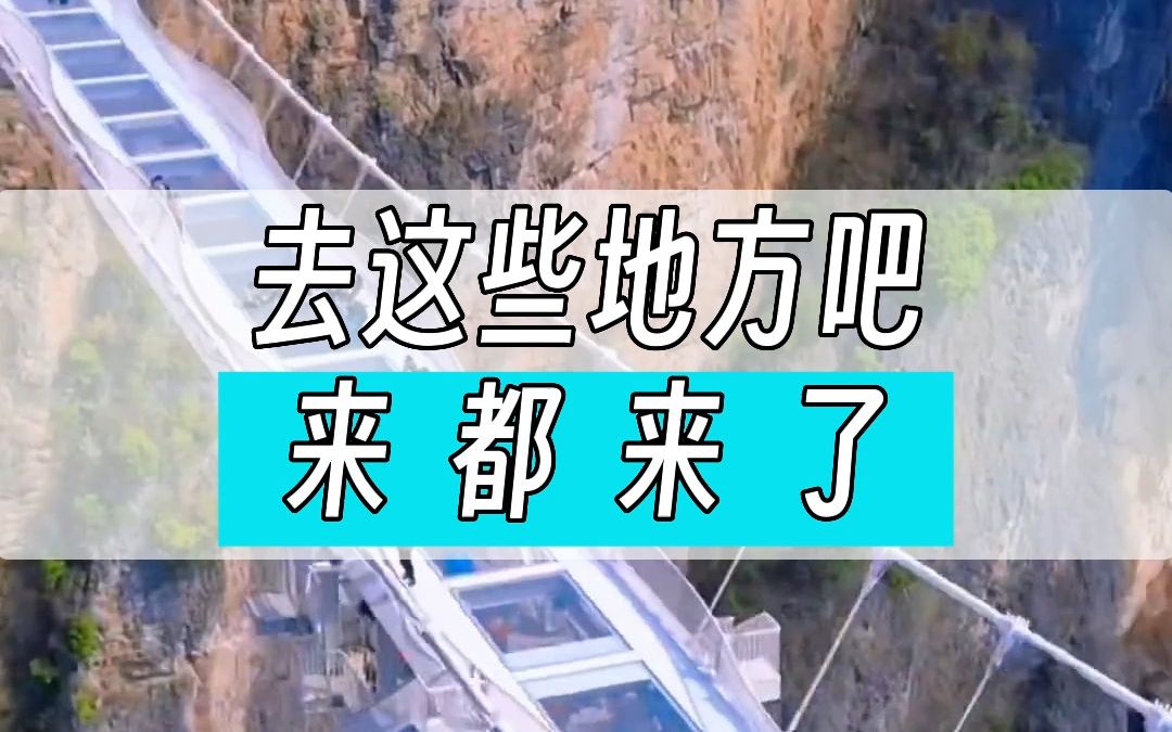 【来都来了】看看张家界有哪些景区值得说上这样一句话哔哩哔哩bilibili