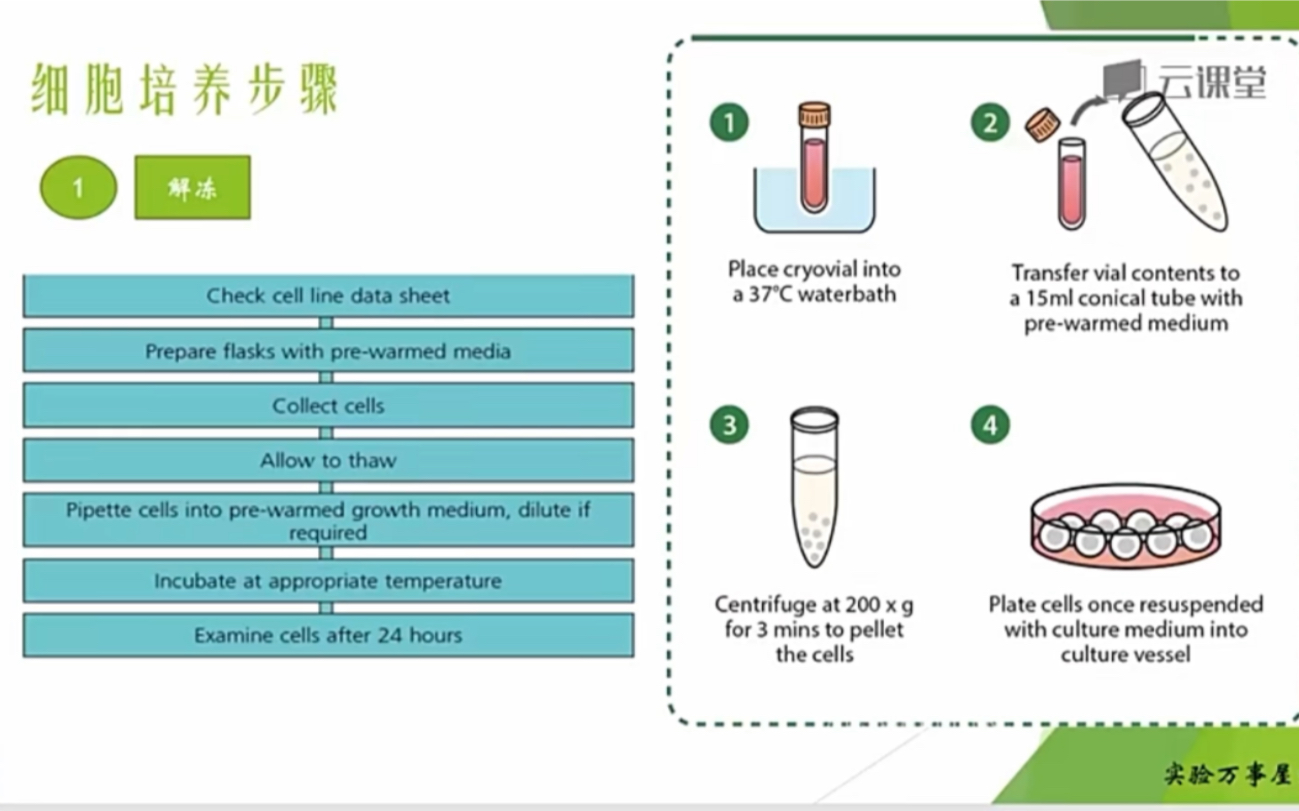 [图]实验万事屋——分子生物学初级：细胞培养