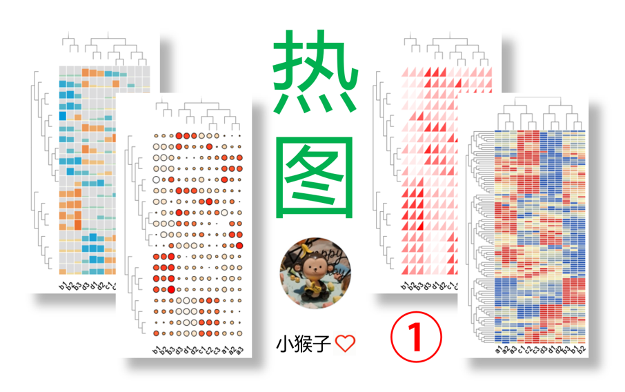 【生信分析16】最好用的热图绘制软件TBtools哔哩哔哩bilibili