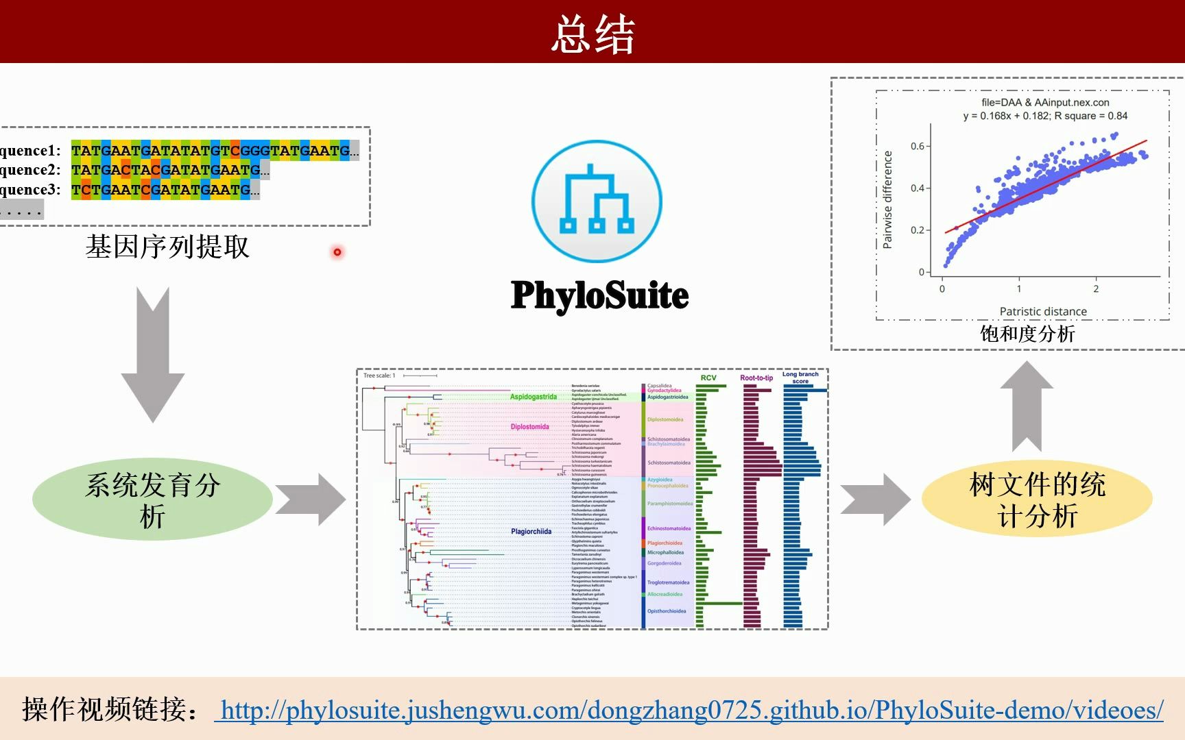 iMeta | 使用PhyloSuite进行分子系统发育及系统发育树的统计分析哔哩哔哩bilibili