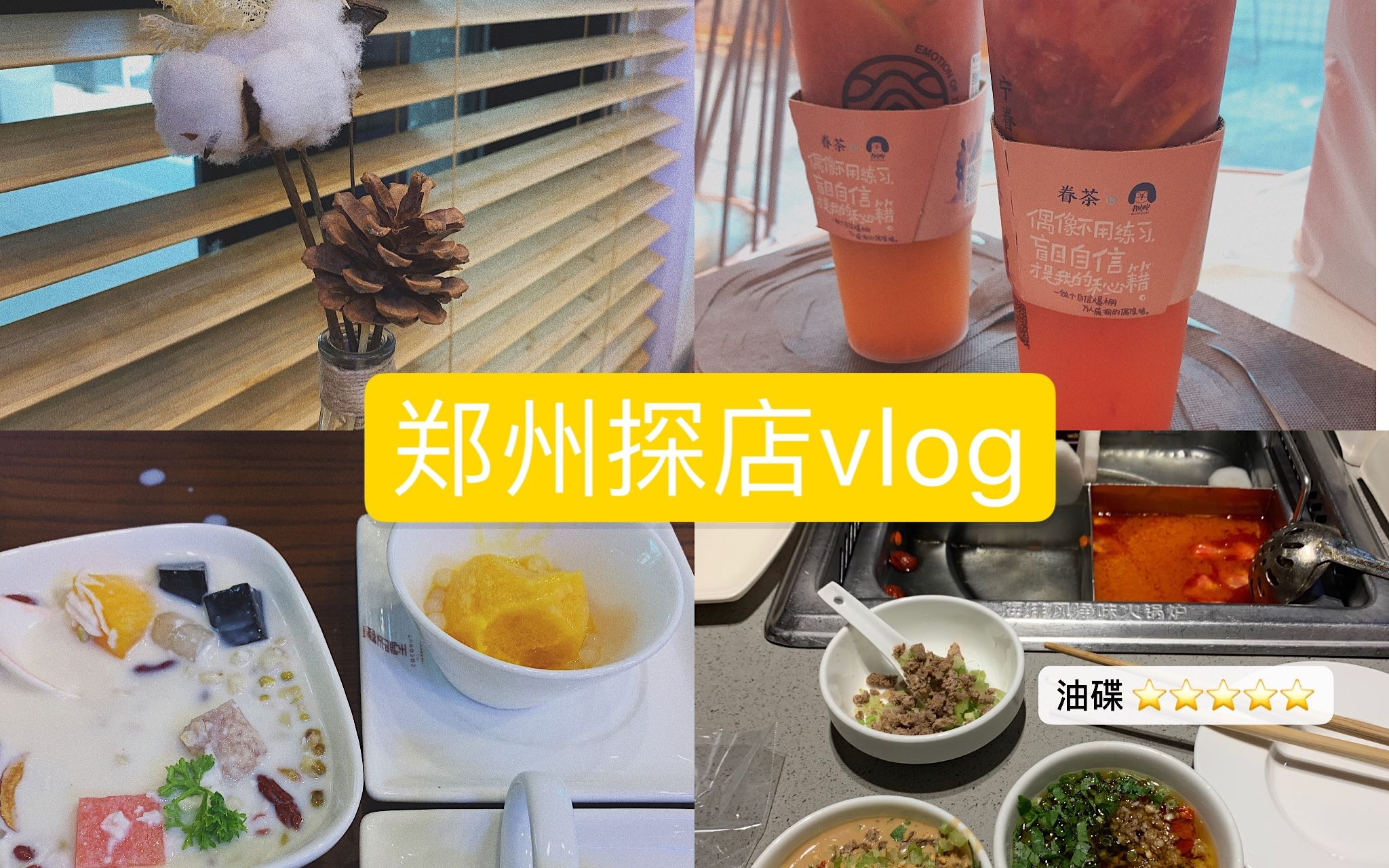 【郑州探店vlog】 海汇中心品质生活 椰语堂/海底捞/眷茶 两个不专业的试吃员哔哩哔哩bilibili