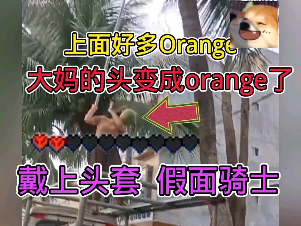 大妈的头变成orange了?哔哩哔哩bilibili