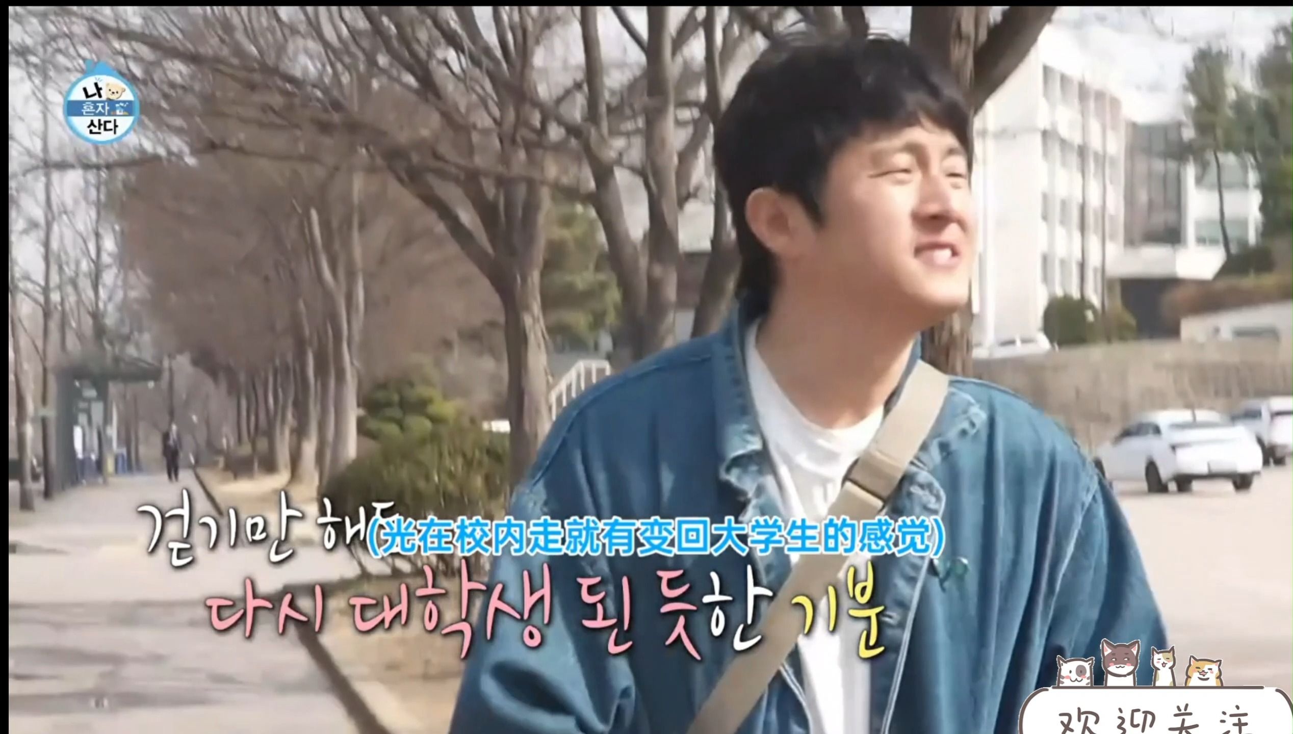 【旗安84】回美大做专题讲座!