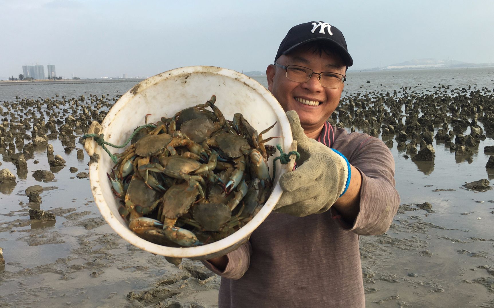 闲牛赶海狂抓螃蟹,一个多小时就抓了100多只,煮一大锅吃好爽_哔哩哔哩