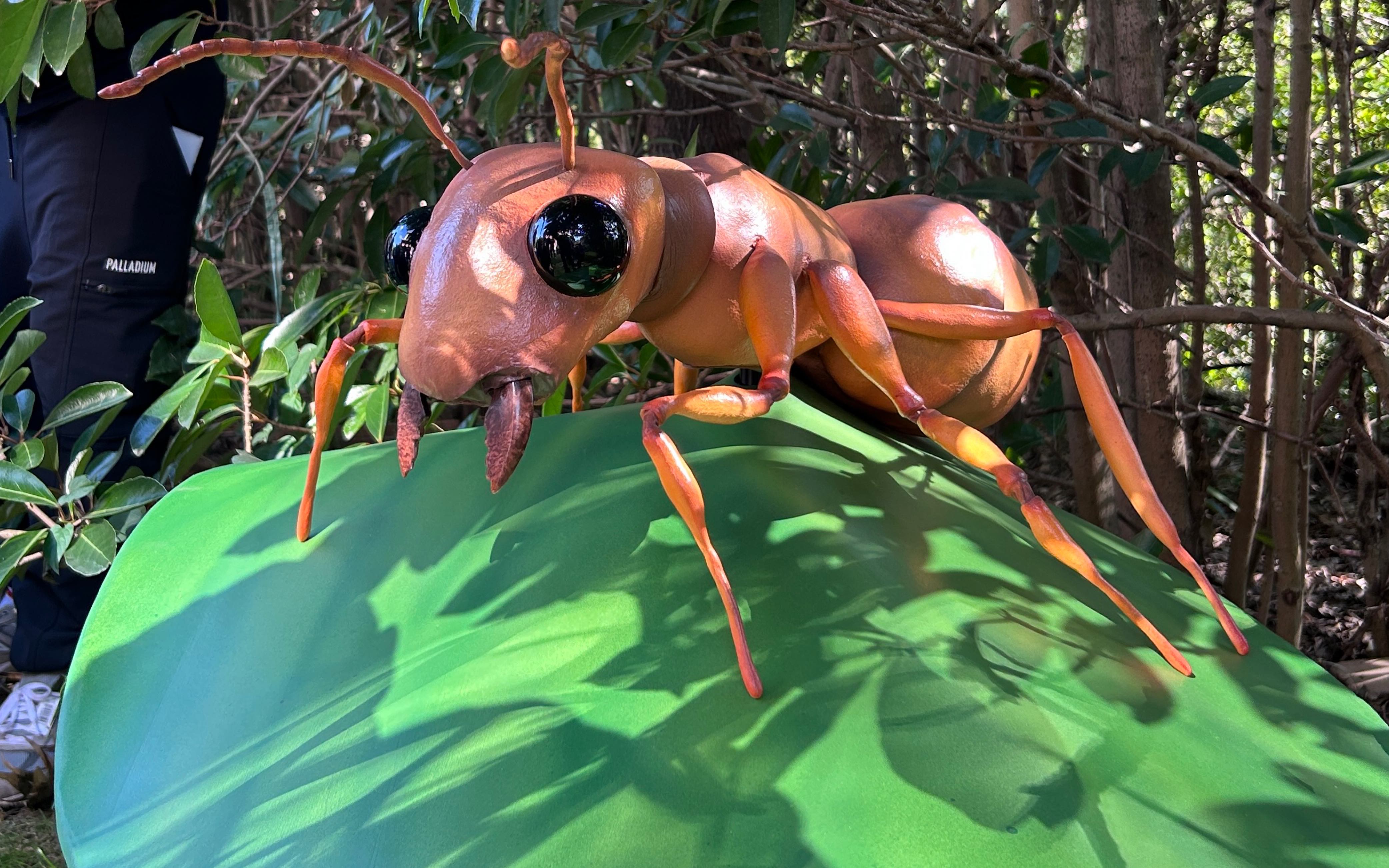 2023年oppo手机机械仿生蚂蚁设计与制作