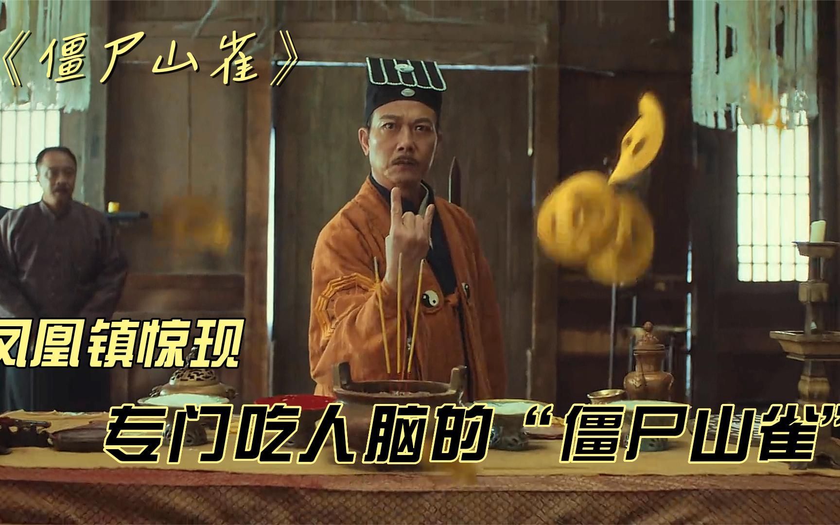 凤凰镇惊现僵尸山雀袭击人类