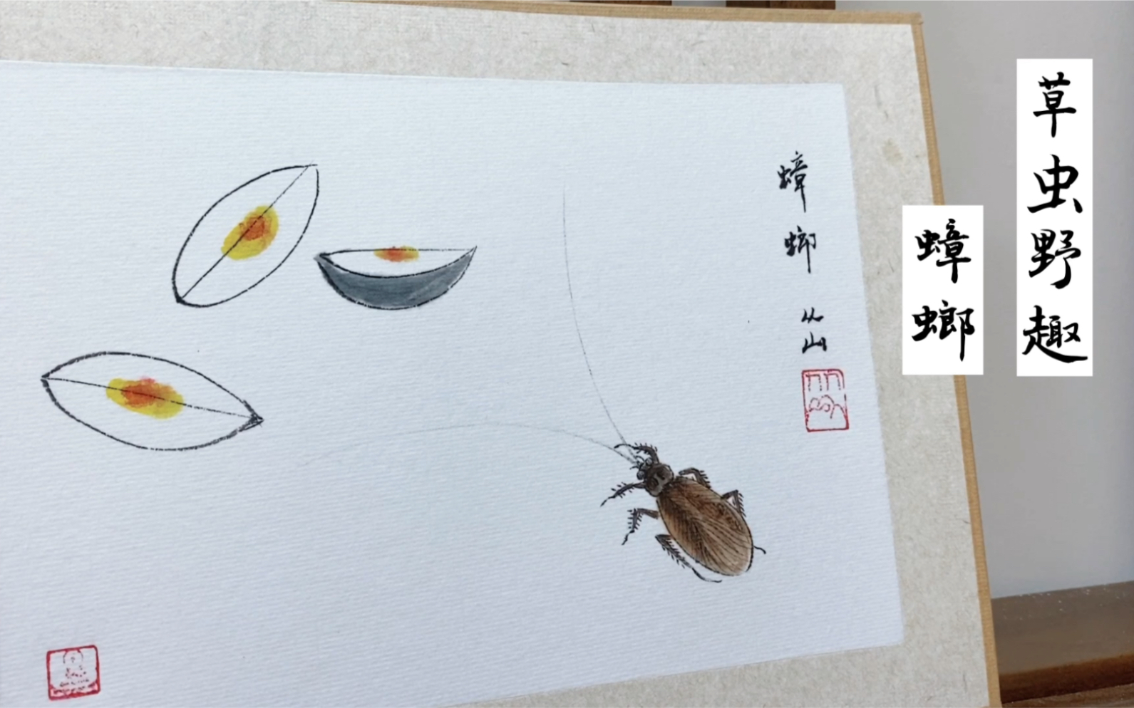中国画 草虫野趣之蟑螂篇 绘画过程记录_哔哩哔哩_bilibili