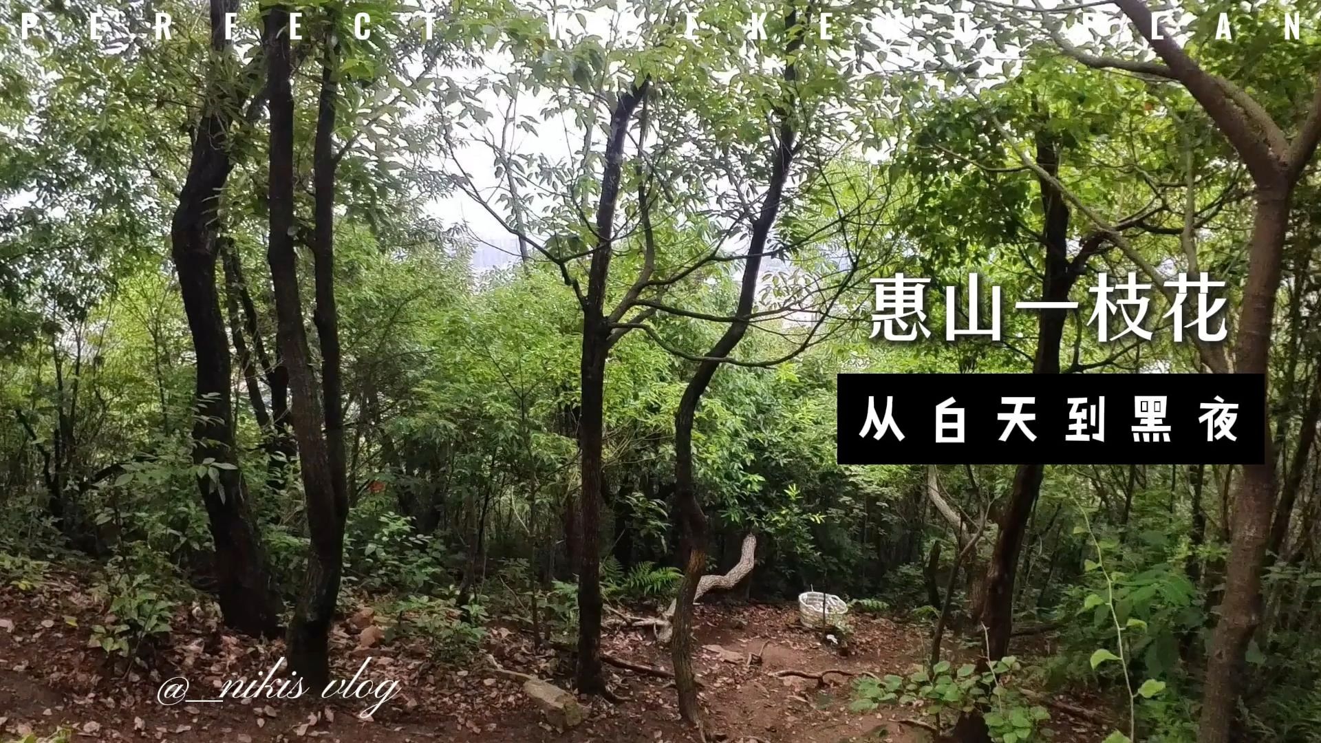 惠山一枝花