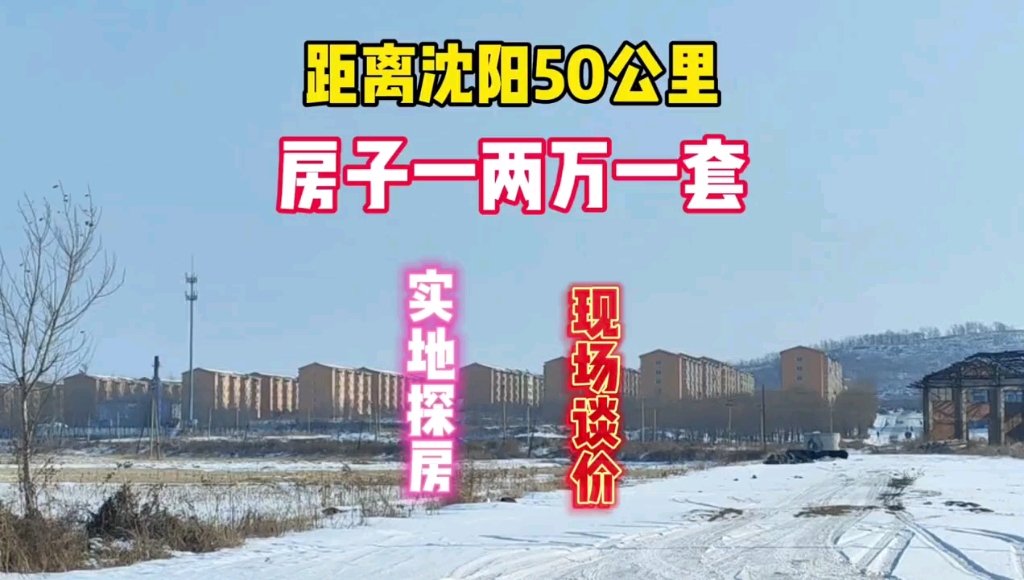 距离沈阳50公里灯塔市铧子镇房子,一两万一套,鬼哥实地探房现场谈价,全程纪实拍摄哔哩哔哩bilibili